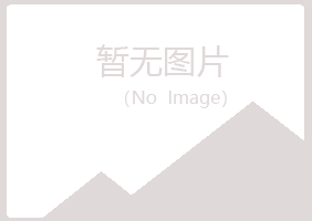 林甸县夏青设计有限公司